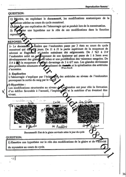 SVT - Cours – Image 4