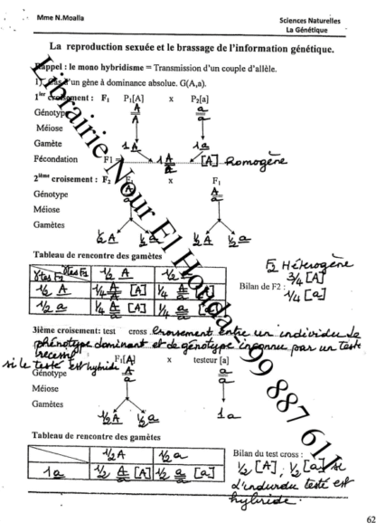SVT - Cours – Image 3