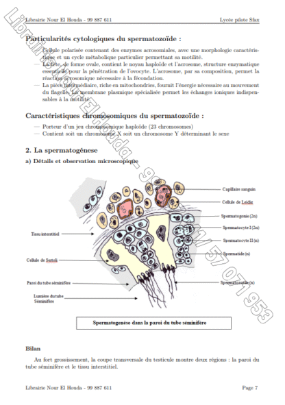 SVT - Cours – Image 7