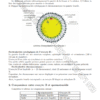 SVT - Cours – Image 5
