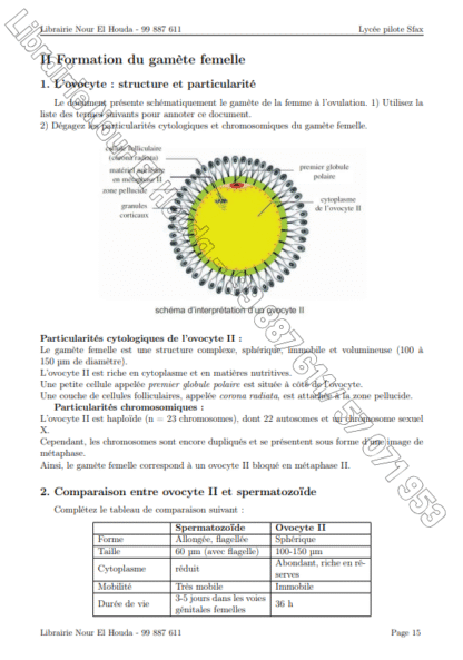 SVT - Cours – Image 5