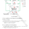 SVT - Cours – Image 4