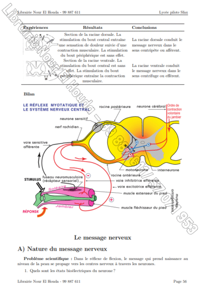SVT - Cours – Image 2