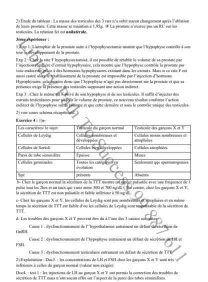 SVT - Séries – Image 3