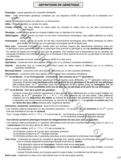 SVT - Séries – Image 5