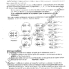 SVT - Sujets de révision – Image 2