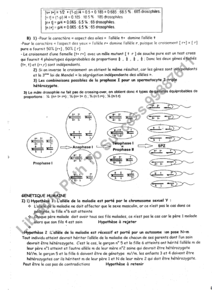 SVT - Sujets de révision – Image 2